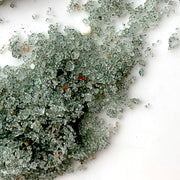 Magnesium Spirulina Bath Salt & Scrub - NUMS | Naturkosmetik & Clean Beauty | online kaufen